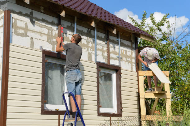 Best Custom Trim and Detailing for Siding  in Woodville, MS